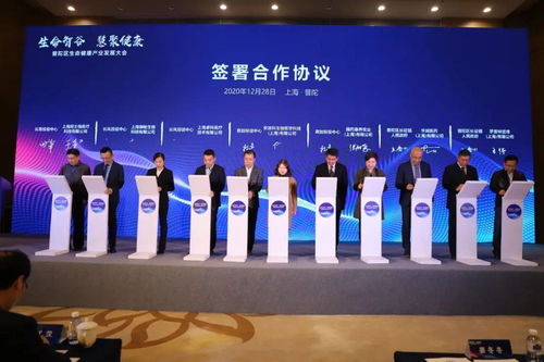 普陀区生命健康产业发展大会 推动生命智谷融合创新，加速信息技术赋能健康未来